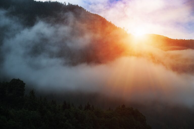 Die Sonne kämpft sich im Nebel durch